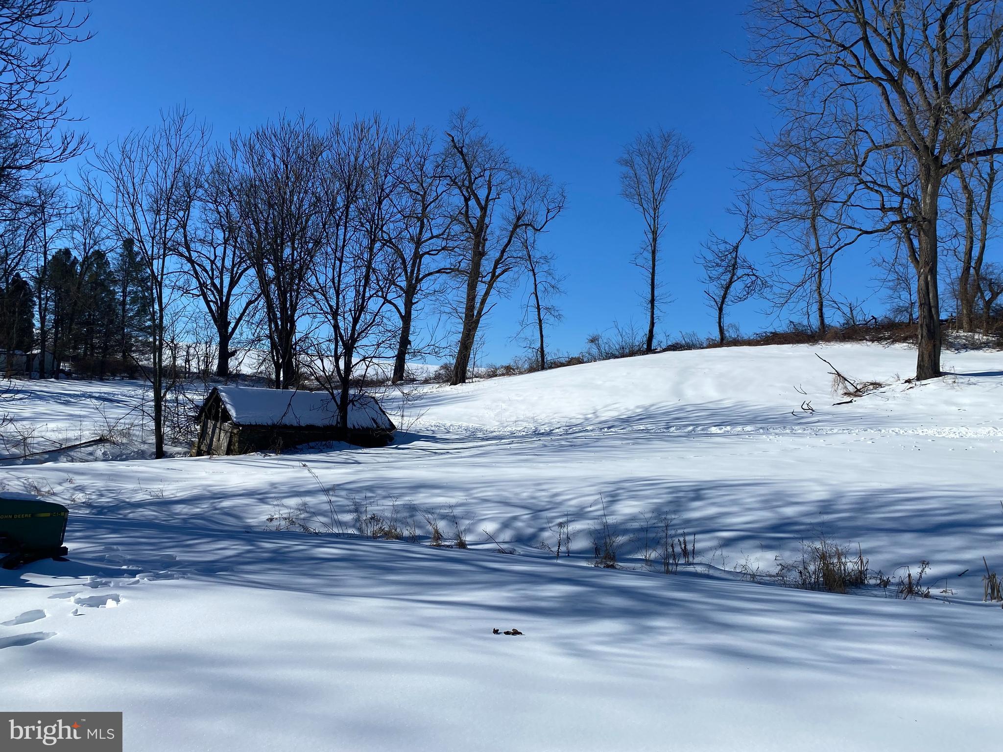 10400 Enfield Road Felton, PA 17322 - Photo 10 of 36 a view of yard with tree s
