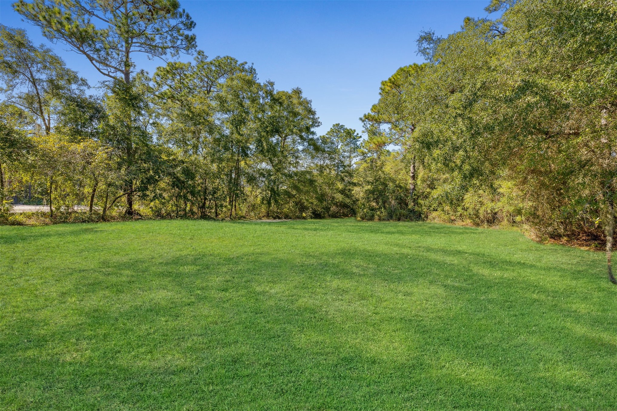 95539 Tyson Road Fernandina Beach, FL 32034 - Photo 25 of 38 ... zoned open rural, with plenty of room for pools, outdoor toys, pets, horses and your favorite farm animals.