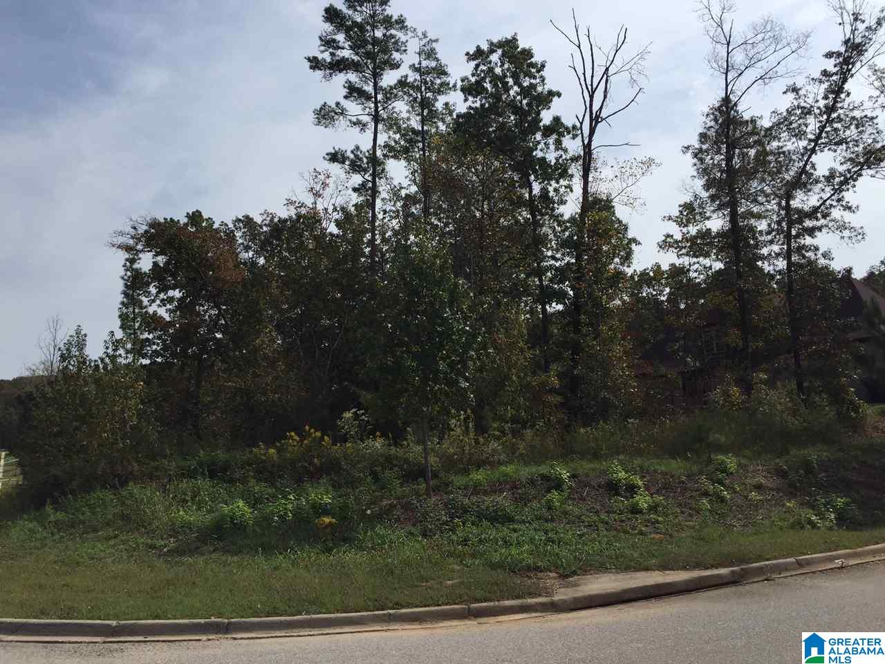 276 Normandy Lane, Unit 66 Chelsea, AL 35043 - Photo 2 of 2