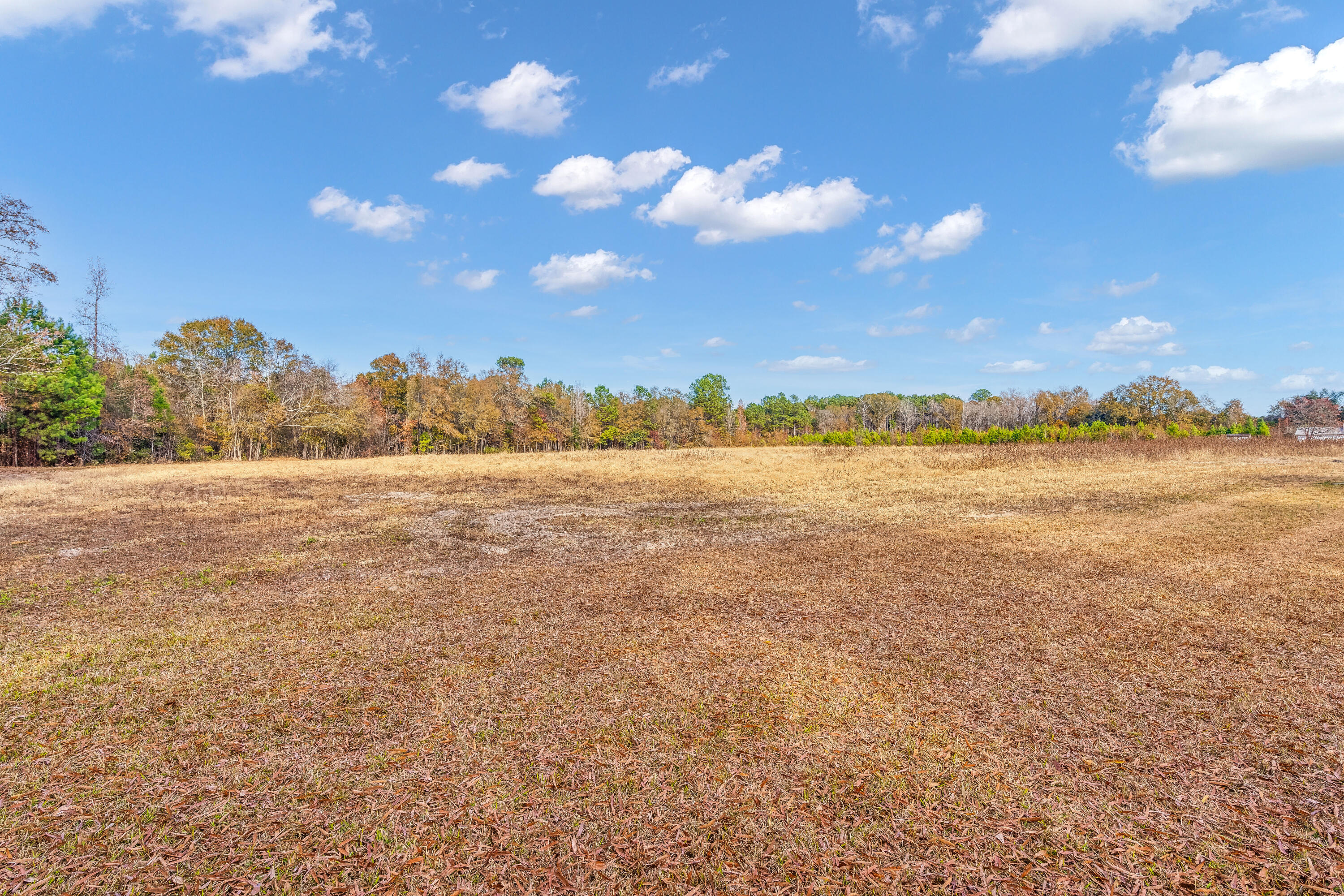 2850 Wire Road St. George, SC 29477 - Photo 29 of 30 30