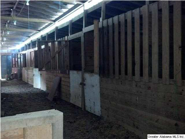 9868 Highway 431 Alexandria, AL 36250 - Photo 18 of 28