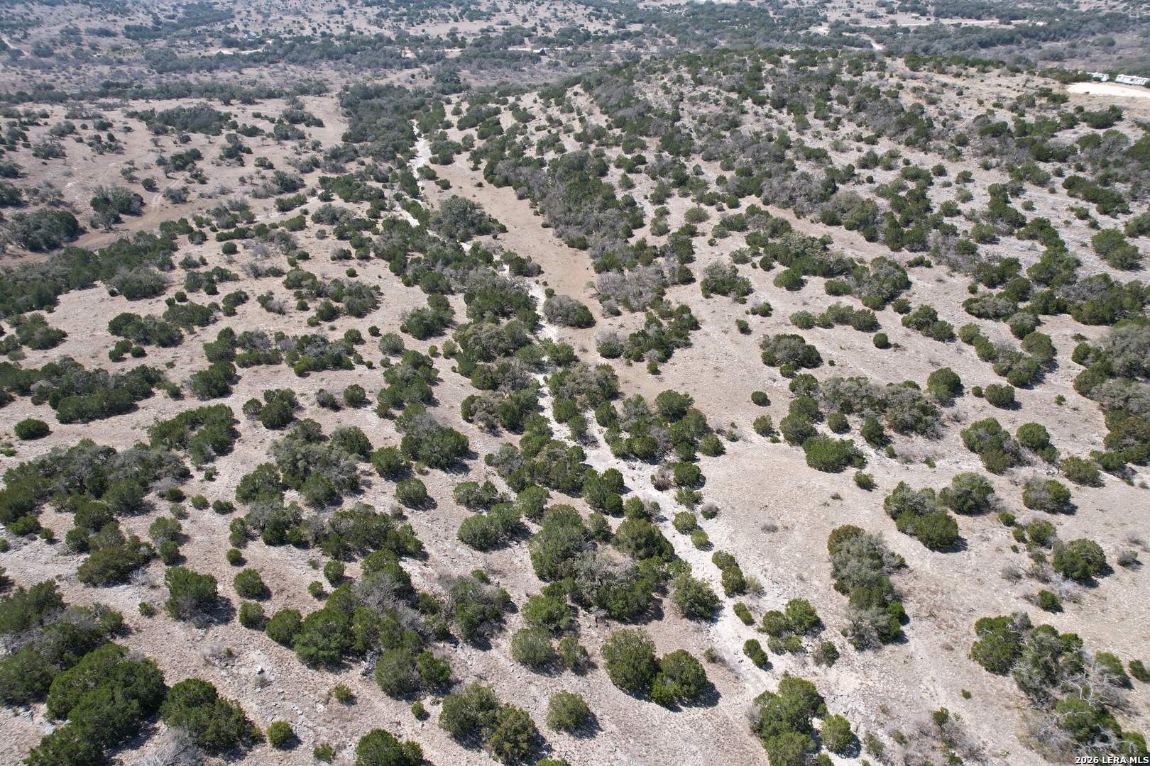 1213 SD 42200 Rocksprings, TX 78880 - Photo 11 of 33 a view of a dry yard