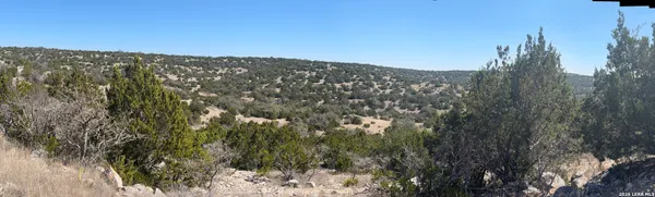 a view of a dry yard with trees in the background