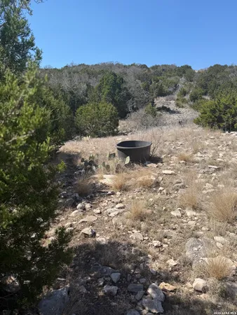 a view of a backyard of the house