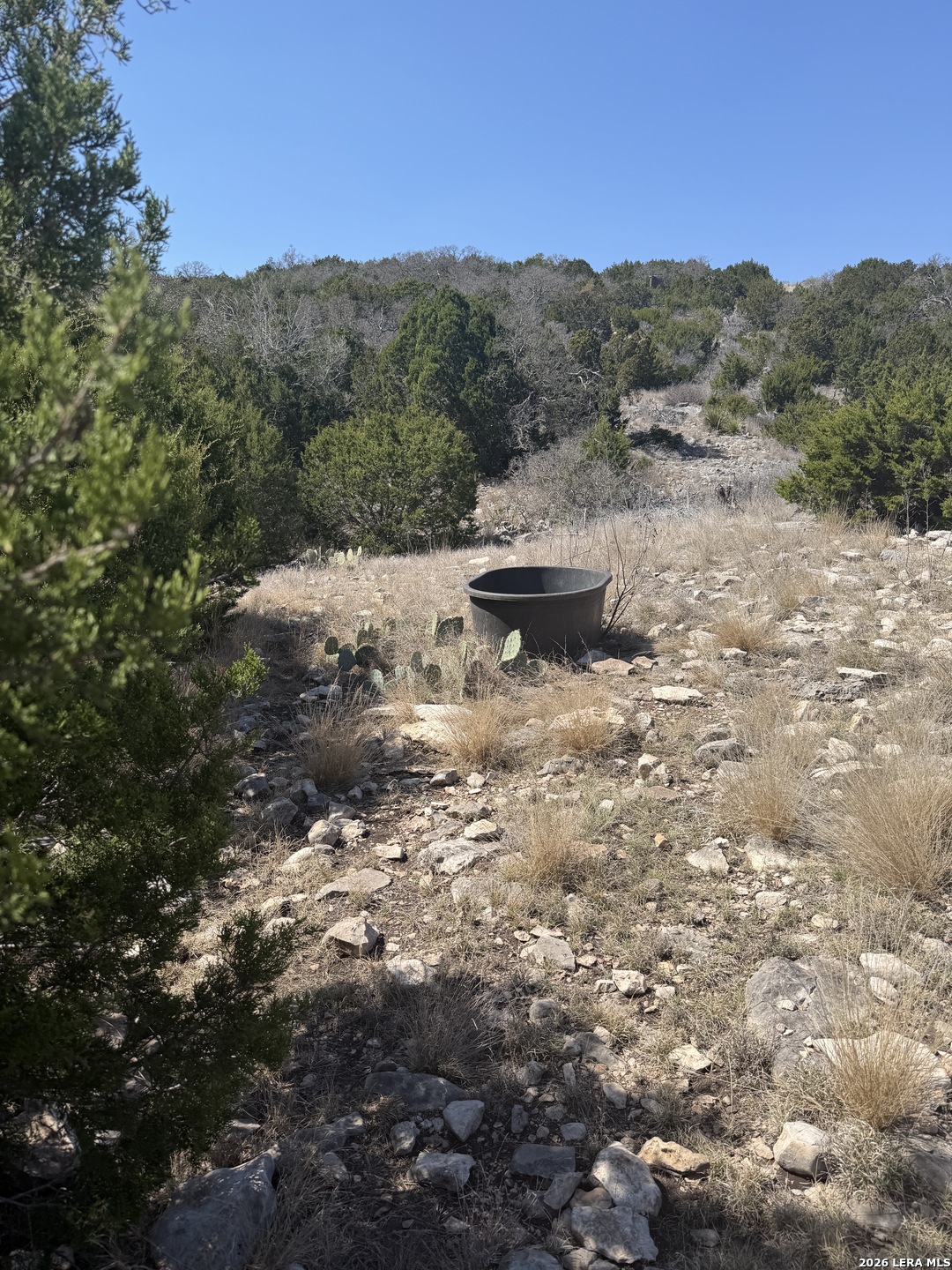 1213 SD 42200 Rocksprings, TX 78880 - Photo 20 of 33 a view of back yard with mountain view