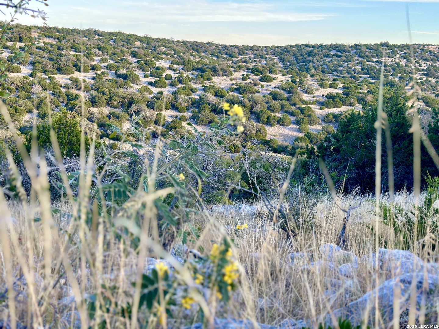 1213 SD 42200 Rocksprings, TX 78880 - Photo 2 of 33 a view of a city