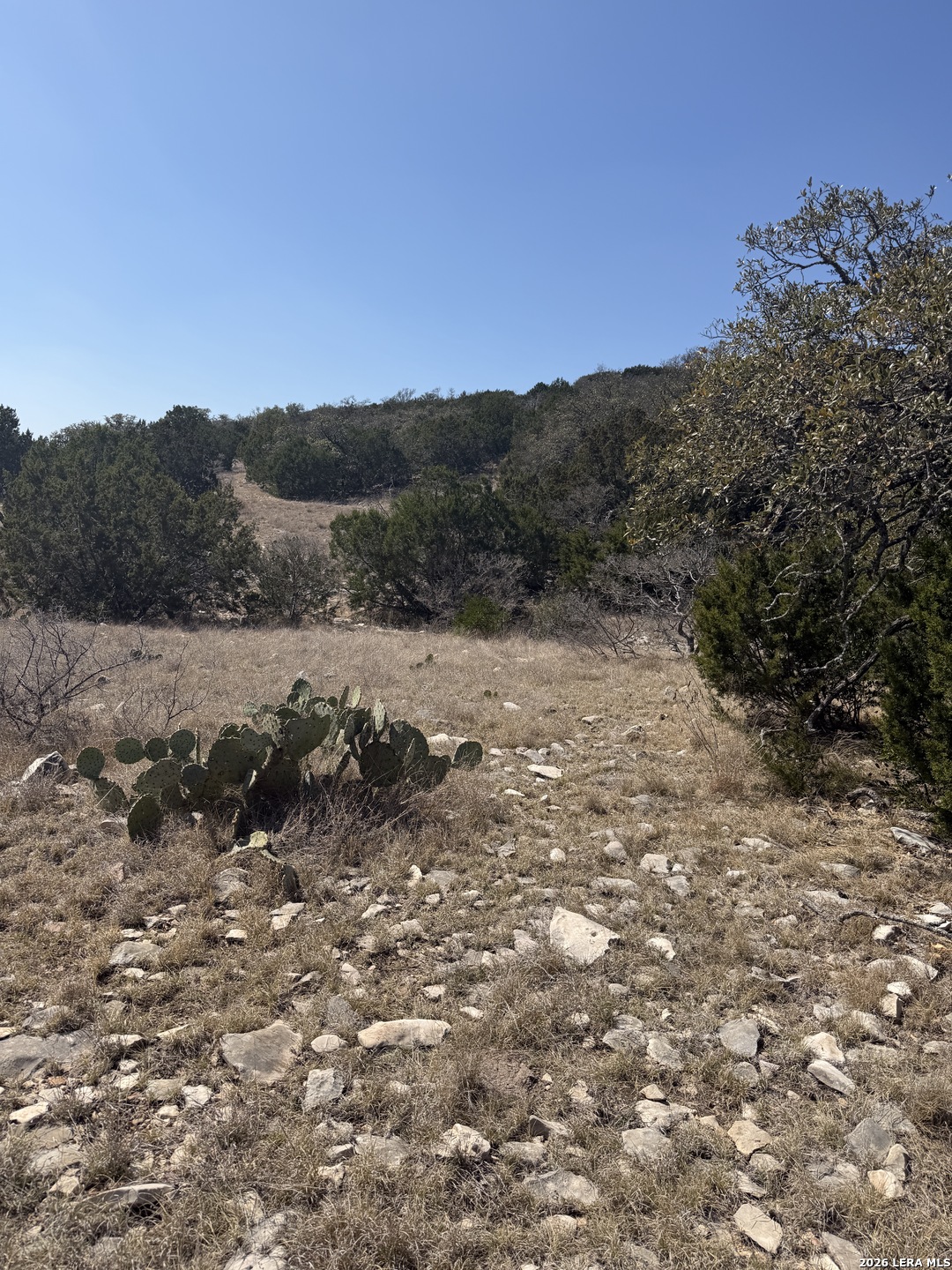 1213 SD 42200 Rocksprings, TX 78880 - Photo 22 of 33 a view of a dry yard with trees in the background