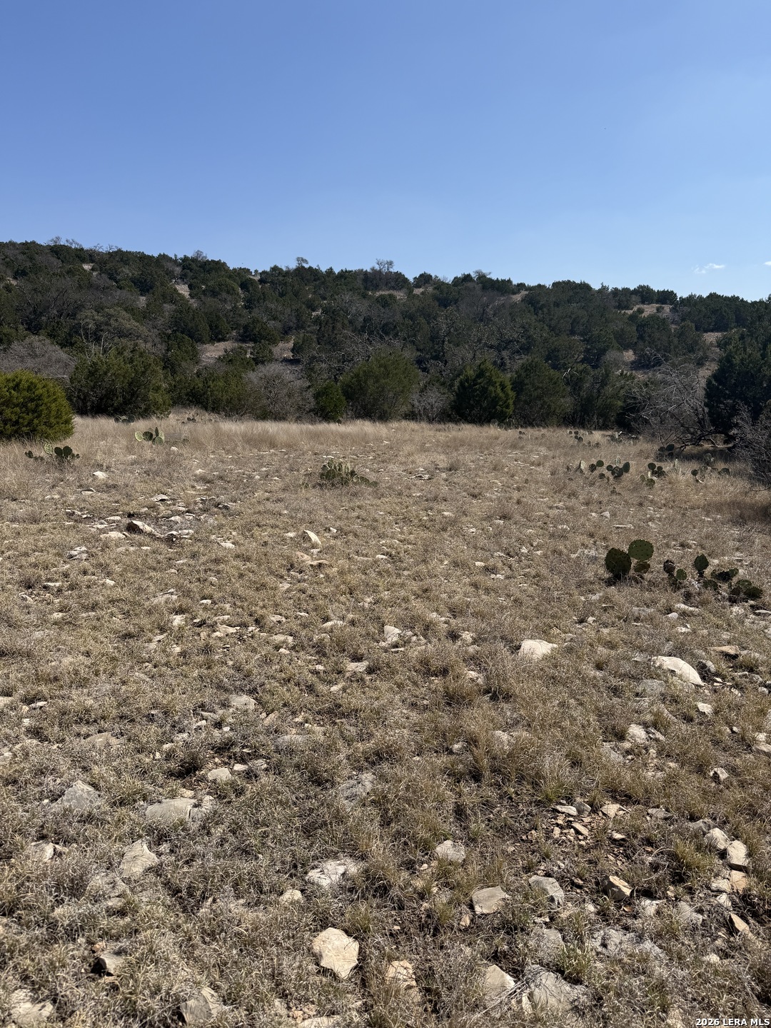 1213 SD 42200 Rocksprings, TX 78880 - Photo 23 of 33