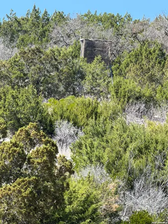 a view of a dry yard