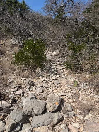 a view of a backyard with wooden fence
