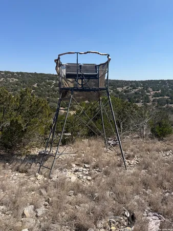 a view of a back yard of the house