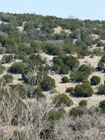 $99,000 | 1213 SD 42200, Rocksprings, TX 78880