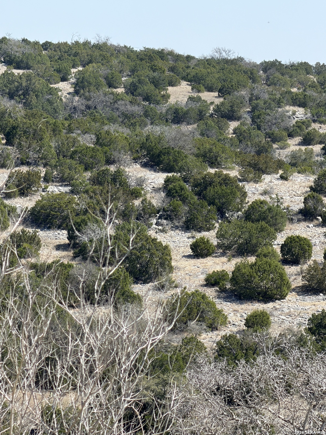 1213 SD 42200 Rocksprings, TX 78880 - Photo 33 of 33 an aerial view of residential houses with outdoor space and trees
