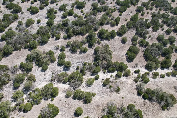 a view of a yard with a mountain