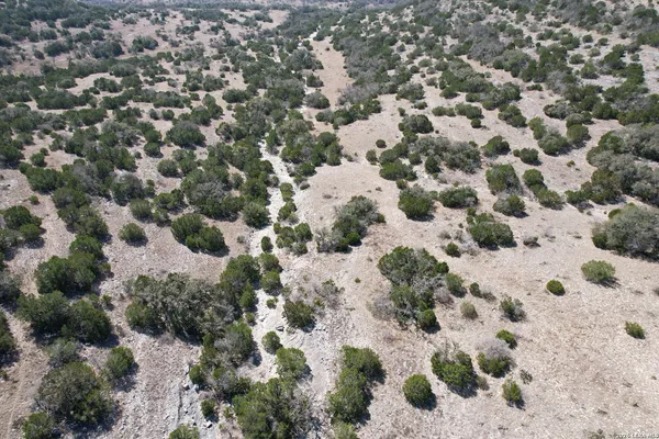 a view of a dry yard