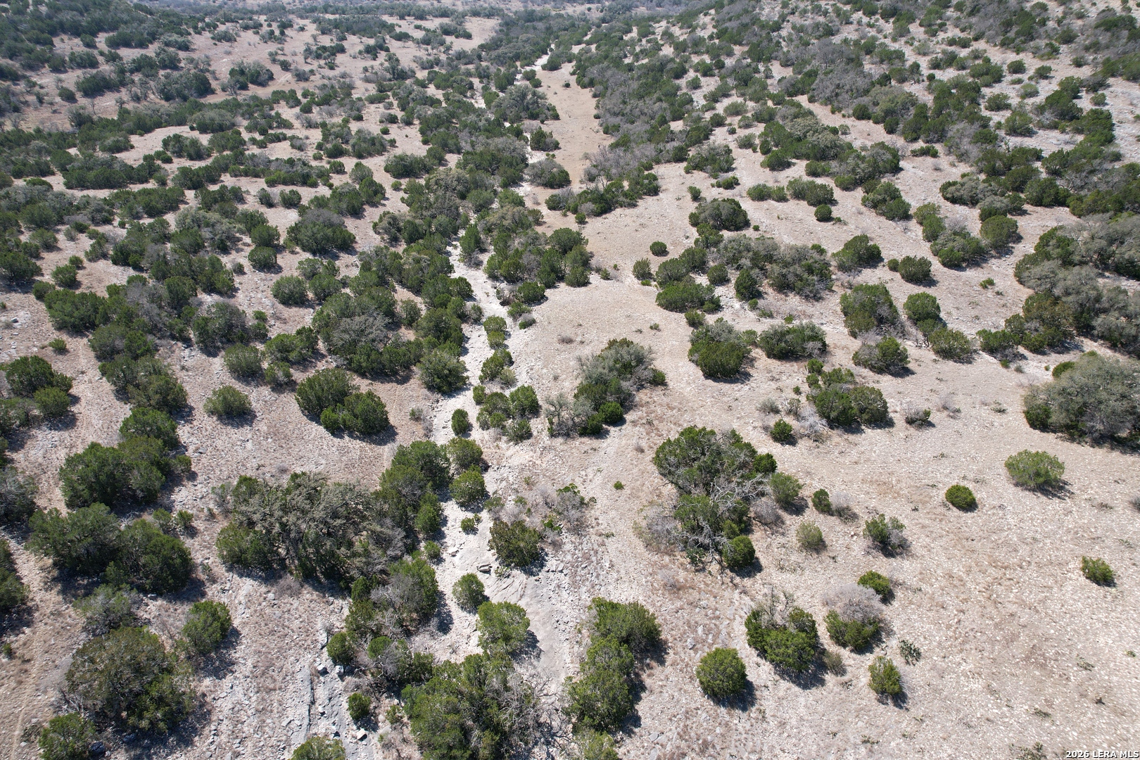 1213 SD 42200 Rocksprings, TX 78880 - Photo 8 of 33 a view of a lot of trees and covered with fog