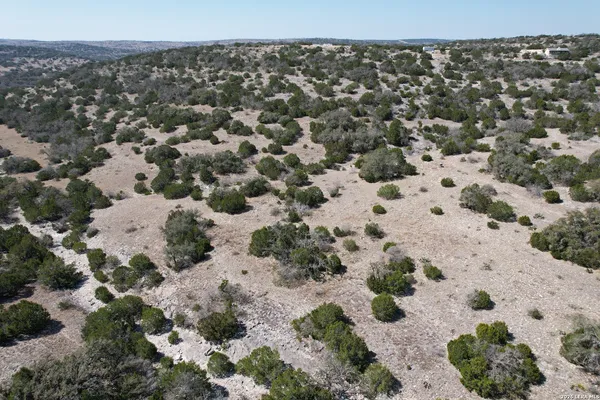 a view of a dry yard