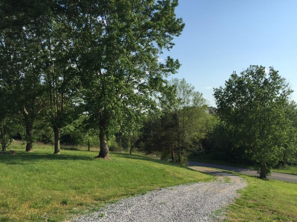 3986 West Allens Bridge Road Greeneville, TN 37743 - Photo 6 of 9 mature trees