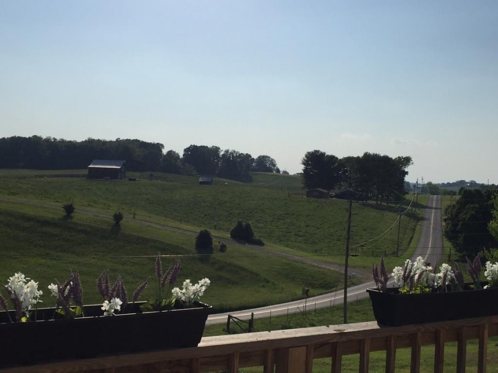3986 West Allens Bridge Road Greeneville, TN 37743 - Photo 8 of 9 beautiful peaceful views front