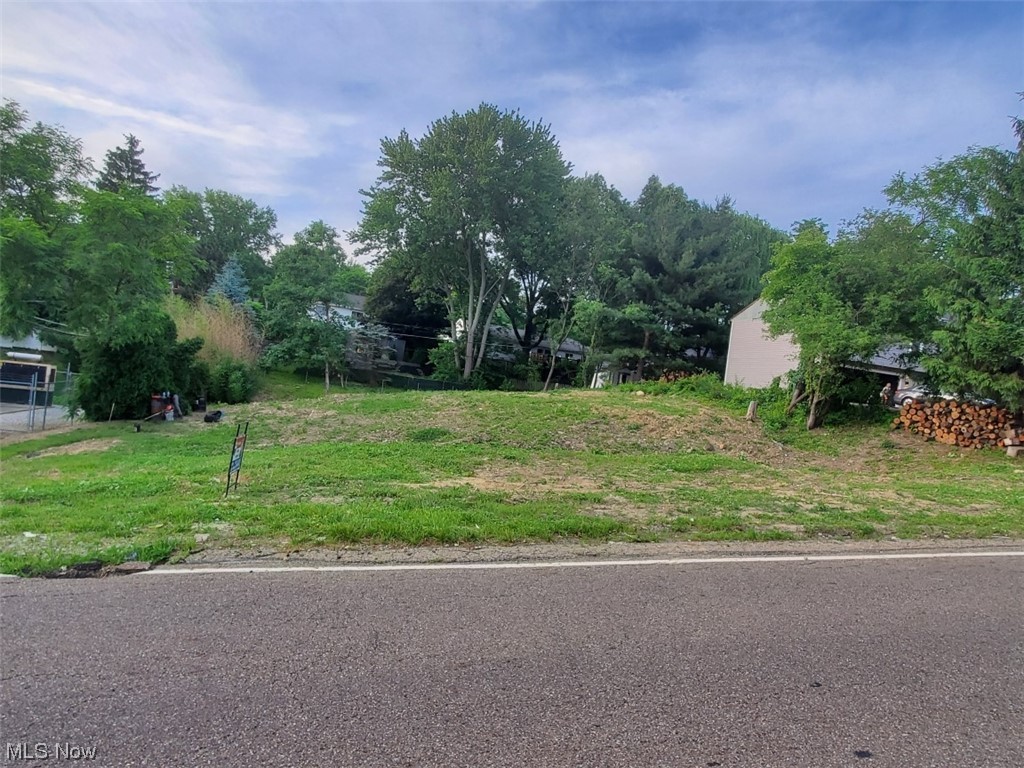 2595 Ridgewood Road Akron, OH 44313 - Photo 3 of 7 Vacant lot