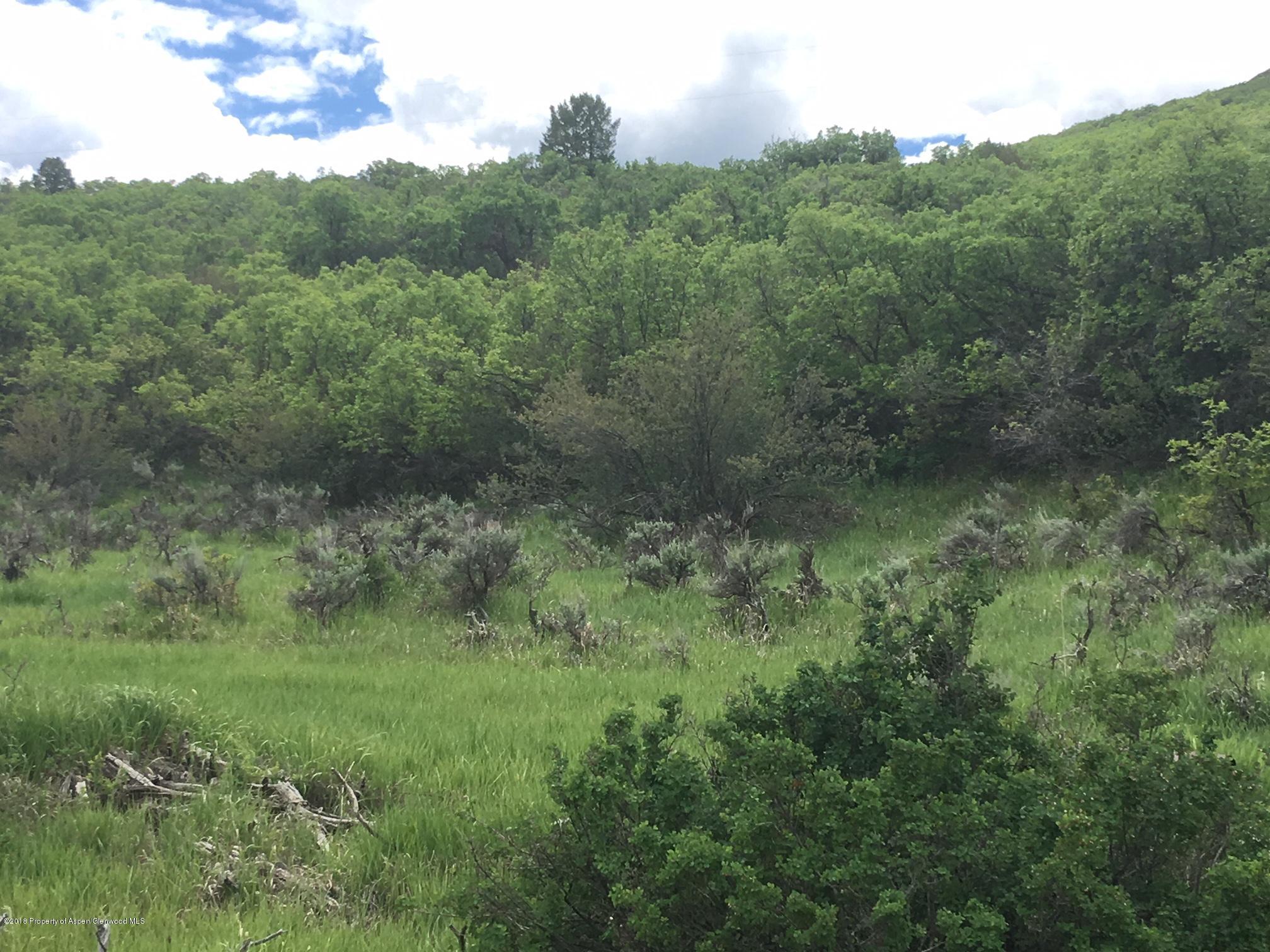 312 County Road New Castle, CO 81647 - Photo 1 of 11 lot view