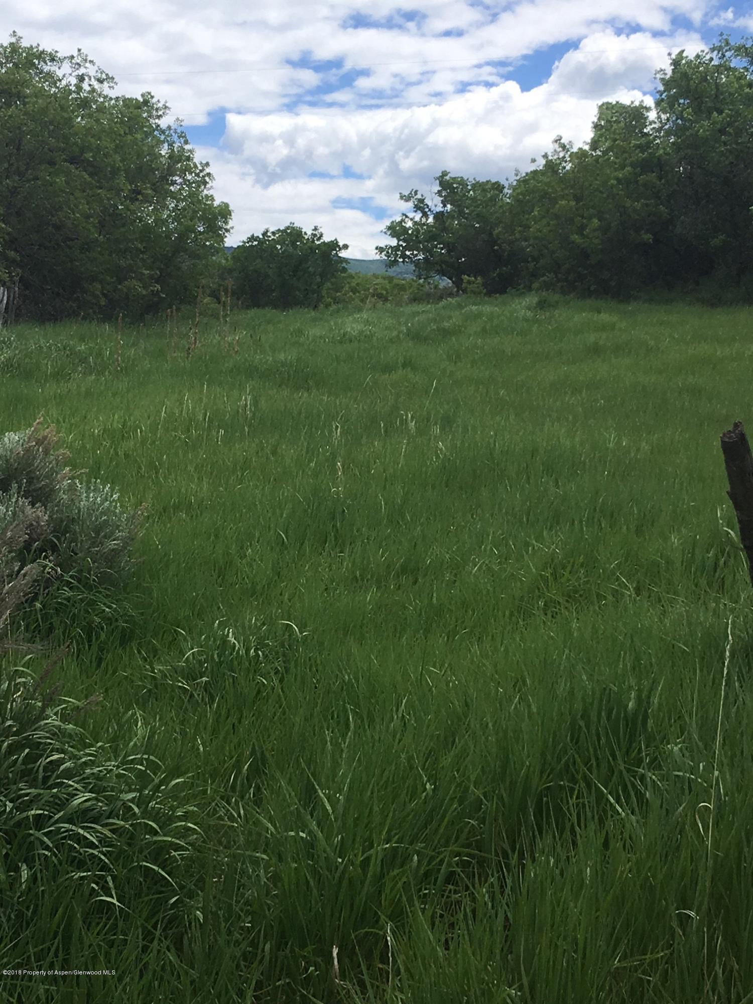 312 County Road New Castle, CO 81647 - Photo 2 of 11 lot view 2