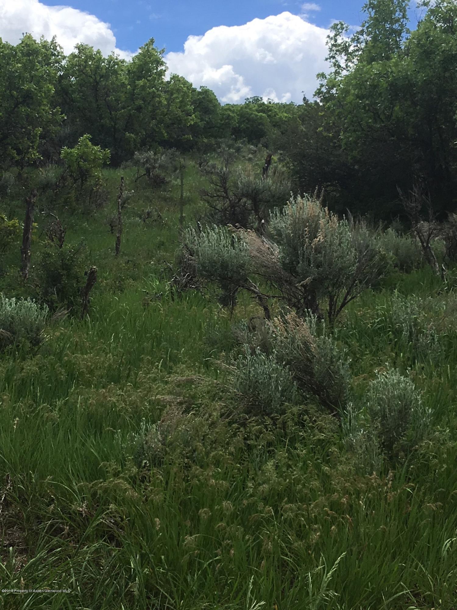 312 County Road New Castle, CO 81647 - Photo 3 of 11 lot view 3