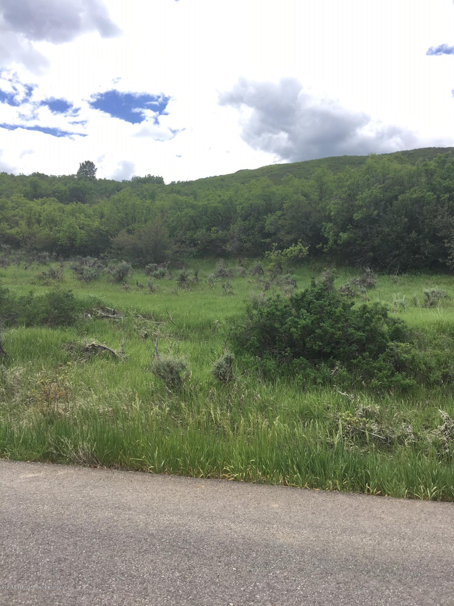 312 County Road New Castle, CO 81647 - Photo 4 of 11 lot view 4