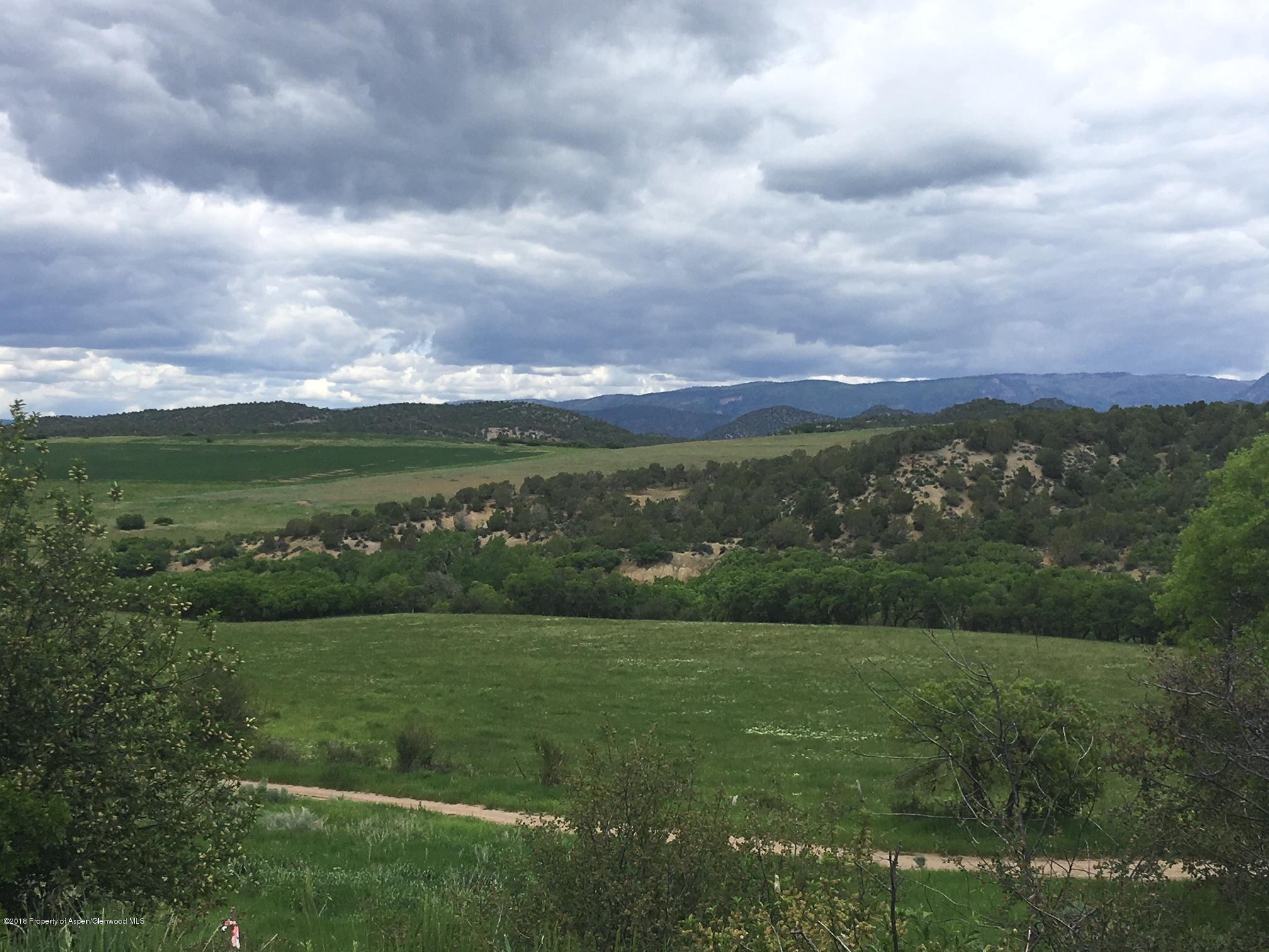 312 County Road New Castle, CO 81647 - Photo 6 of 11 area view