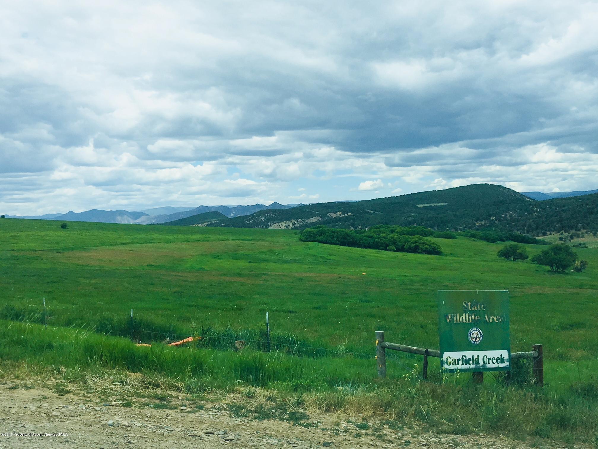 312 County Road New Castle, CO 81647 - Photo 10 of 11 State wild life meadow