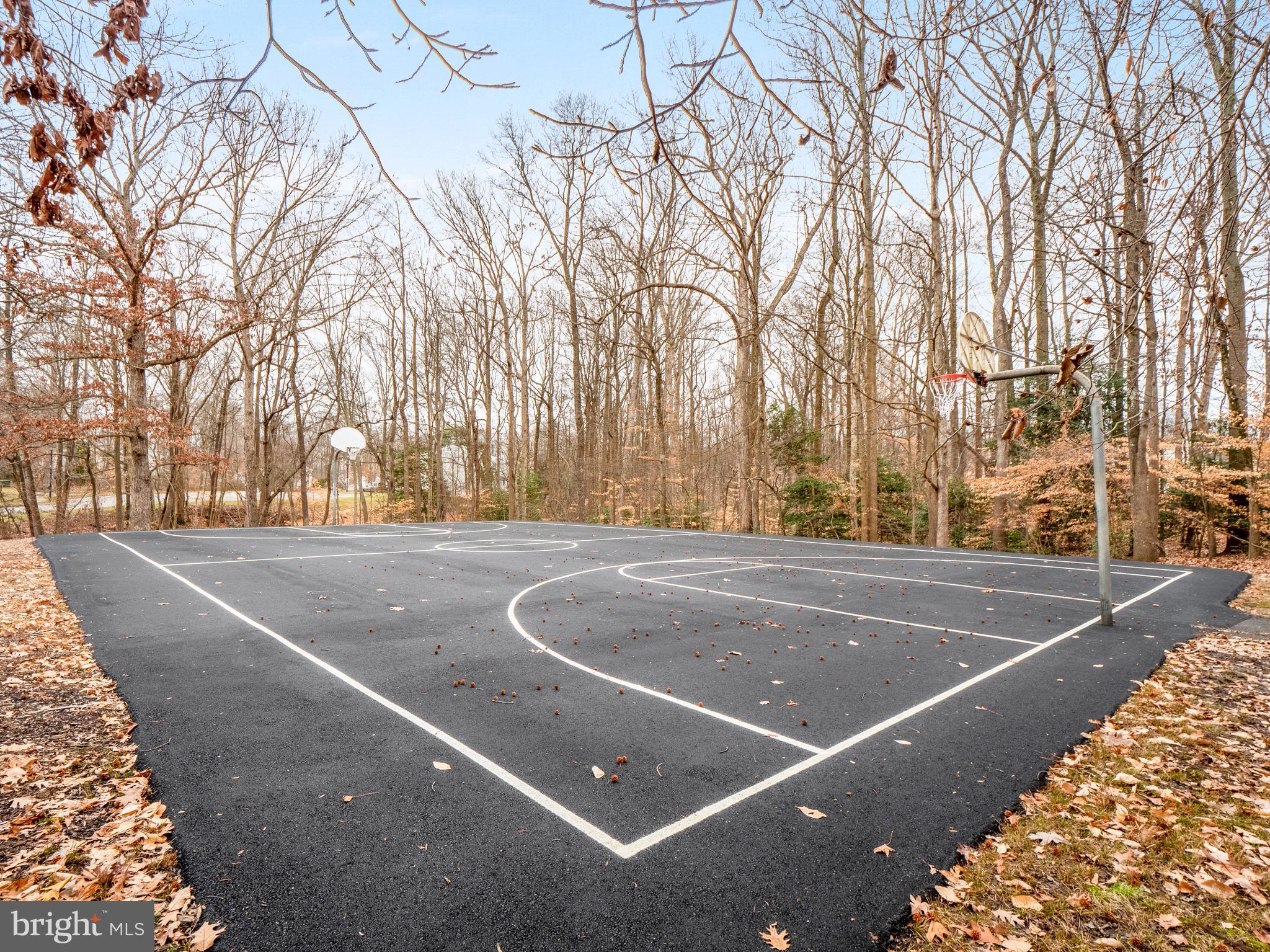 8315 Brookvale Court Springfield, VA 22153 - Photo 21 of 24 a view of a tennis court