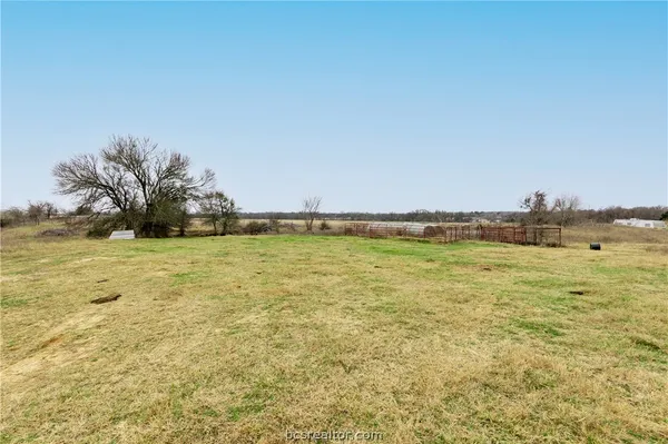 a view of a yard