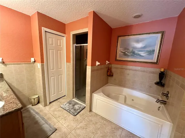 a bathroom with a bathtub and a shower
