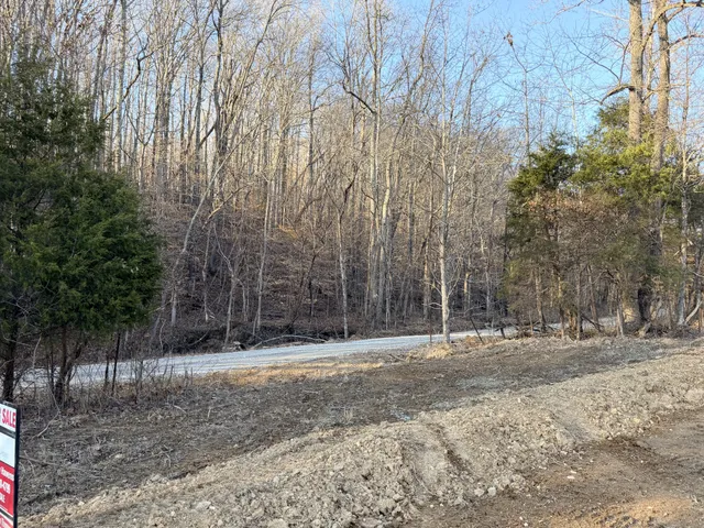 a view of yard covered with snow in outdoor