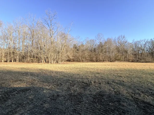 a view of yard and mountain view