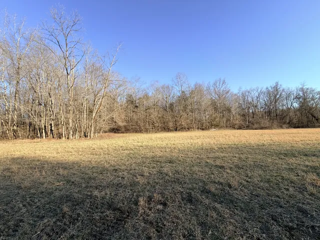 a view of yard with trees