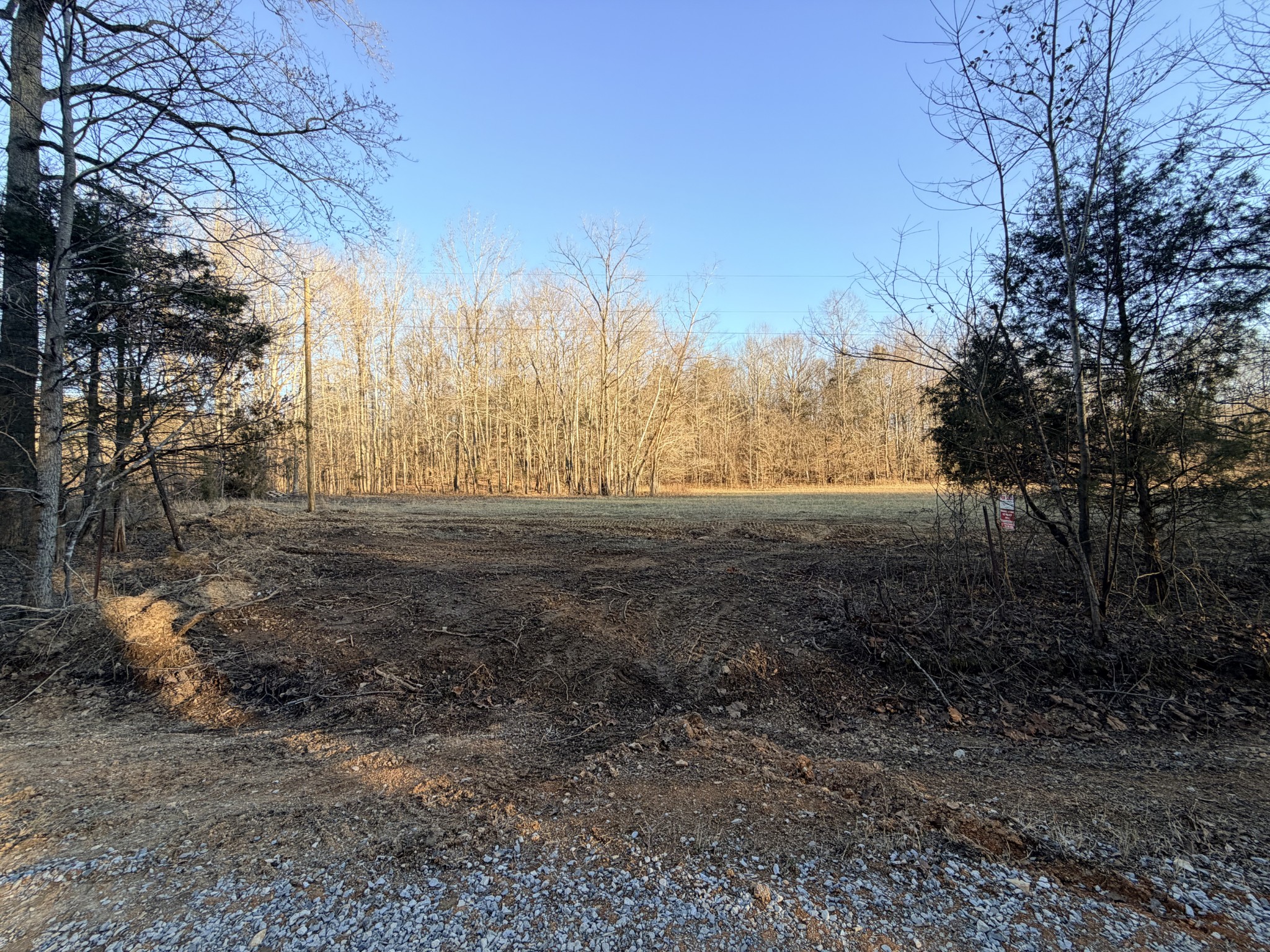 11 John Ross Hollow Road Erin, TN 37061 - Photo 28 of 28 a view of dirt yard with a large tree
