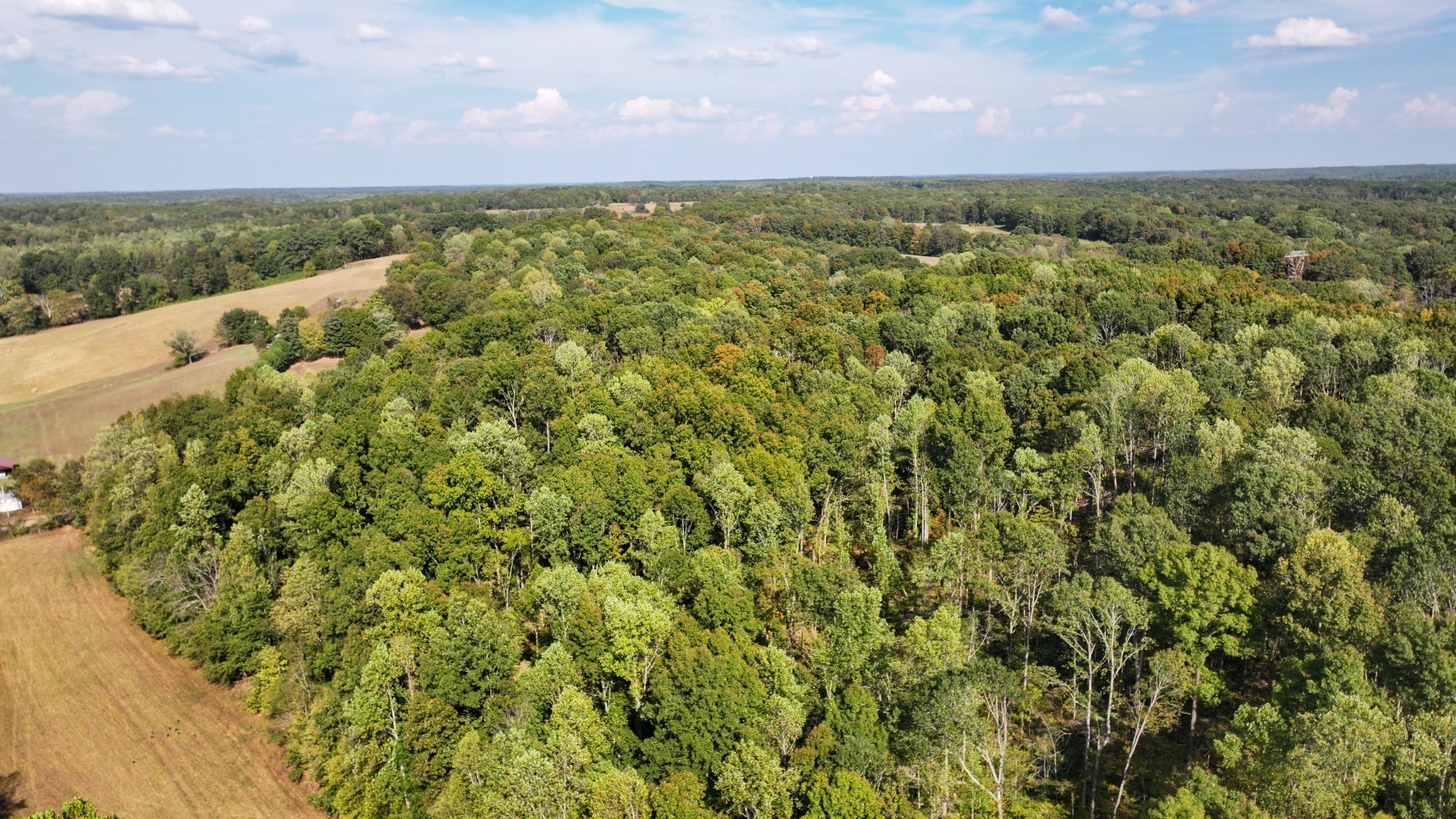 11 John Ross Hollow Road Erin, TN 37061 - Photo 8 of 28 a view of a city with lush green forest