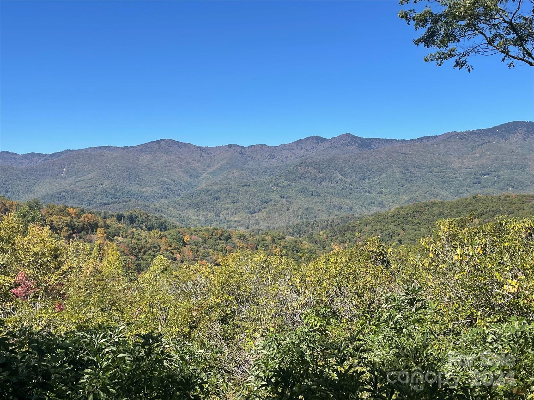 a view of mountain with a yard