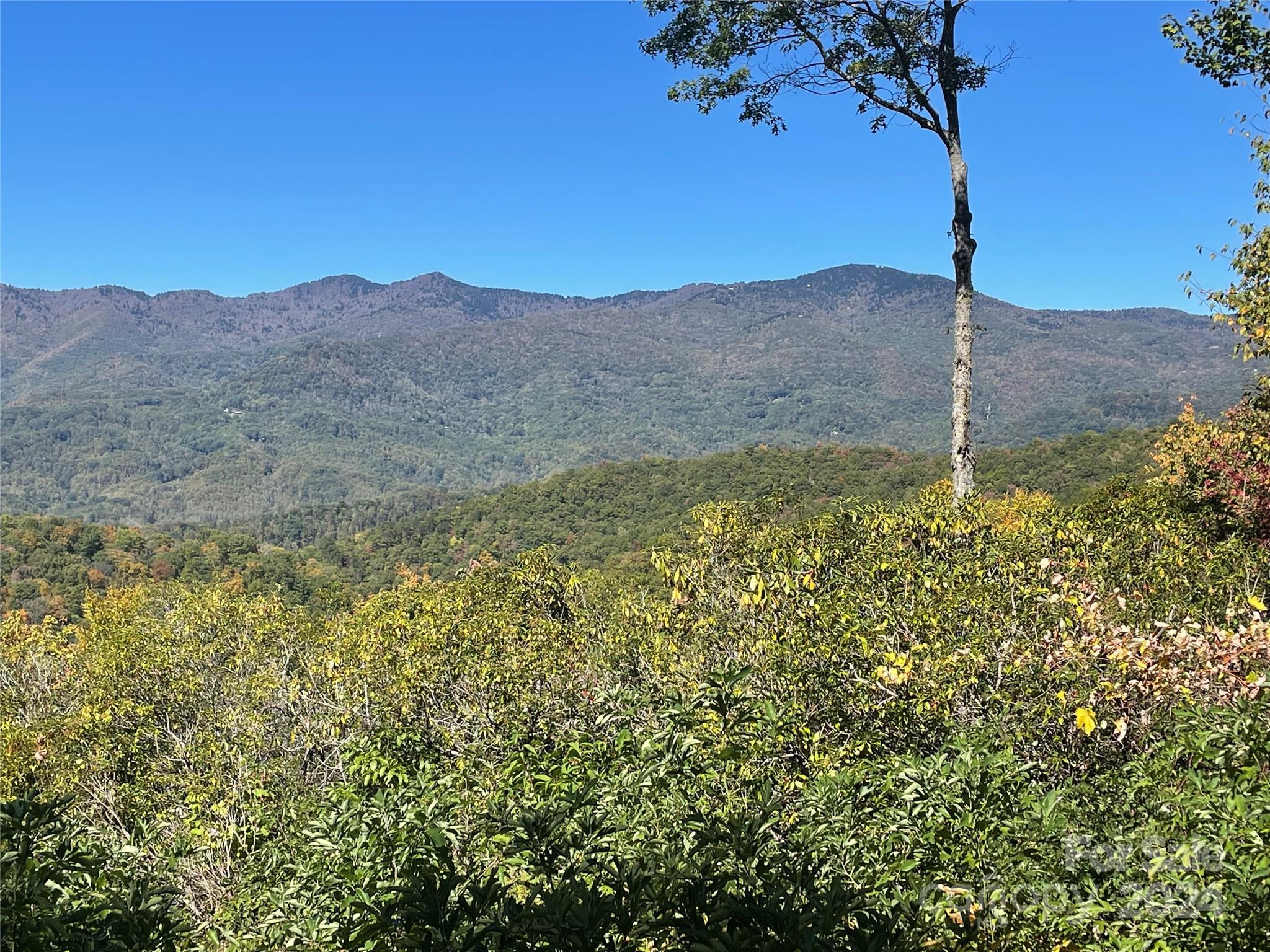 252 Tote Road, Unit 252 Sylva, NC 28779 - Photo 3 of 20 a backyard of a house with lots of green space