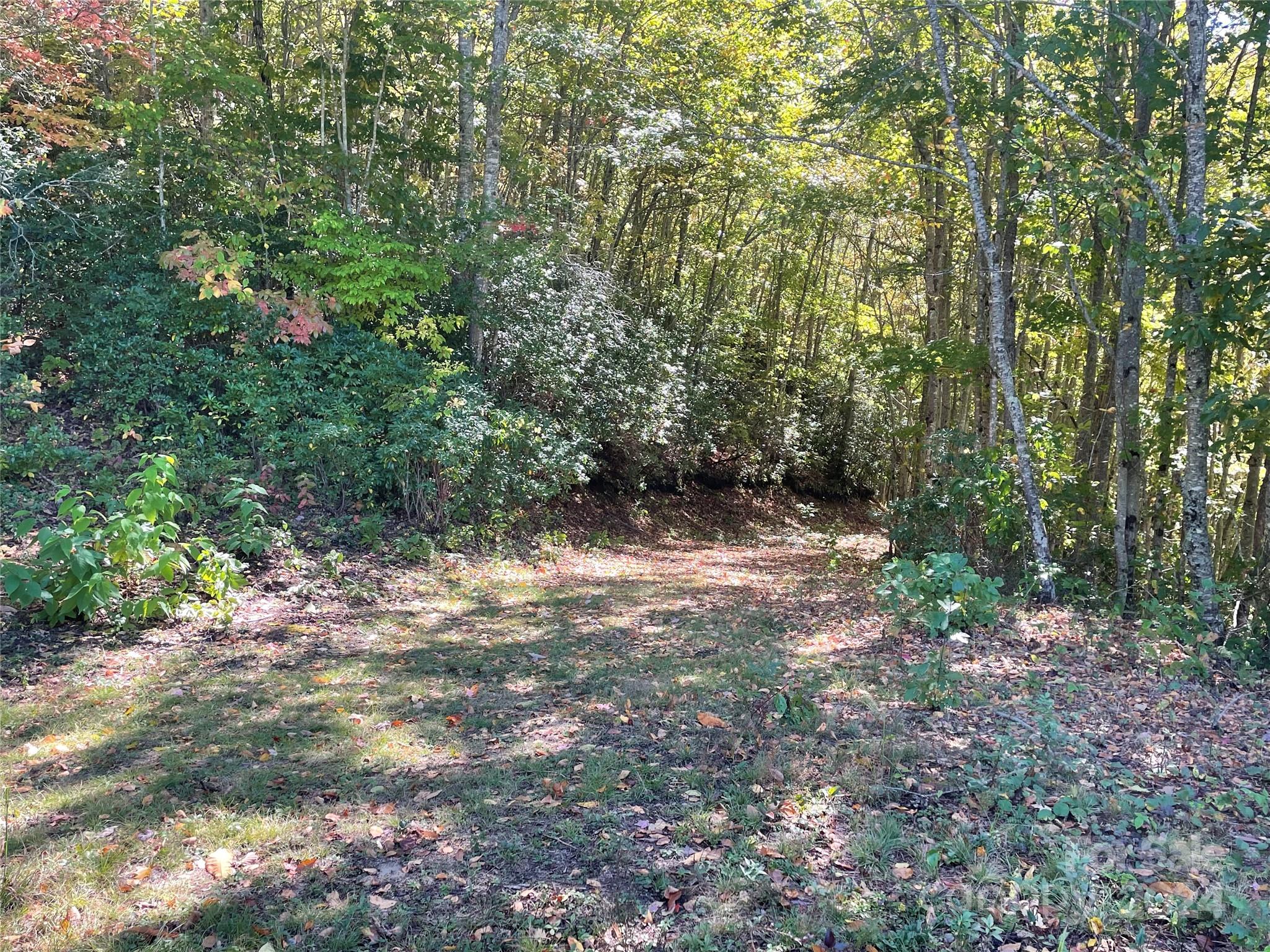 252 Tote Road, Unit 252 Sylva, NC 28779 - Photo 5 of 20 a view of outdoor space and trees