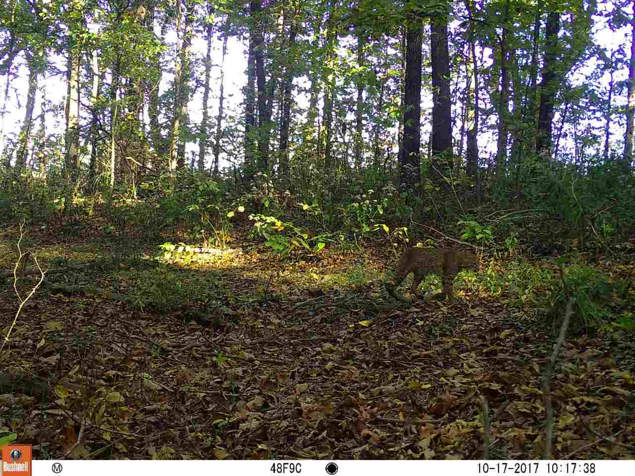 2985 North Corwin Road Bloomfield, IN 47424 - Photo 25 of 36