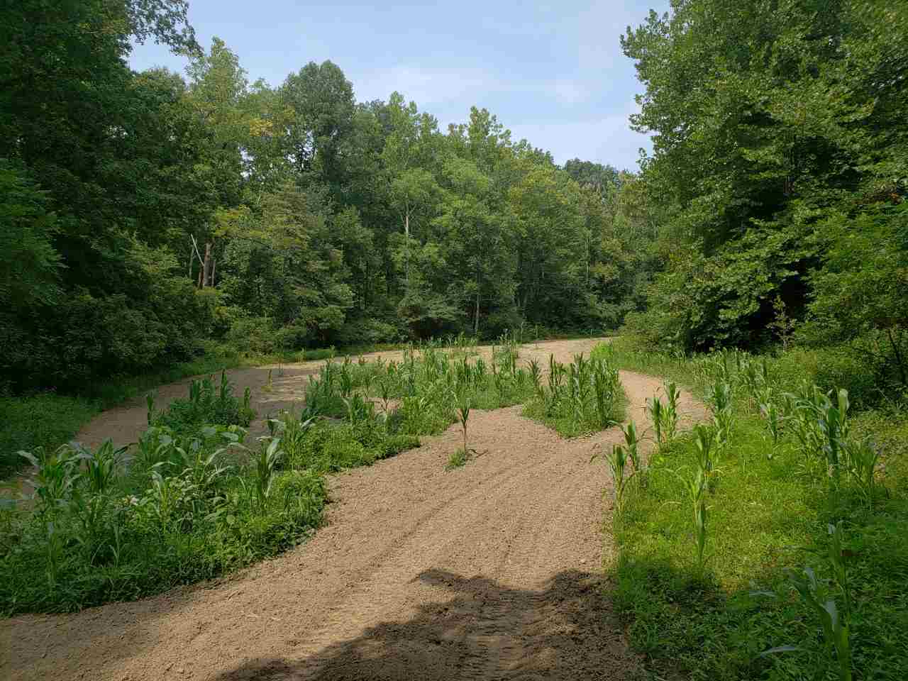 2985 North Corwin Road Bloomfield, IN 47424 - Photo 28 of 36