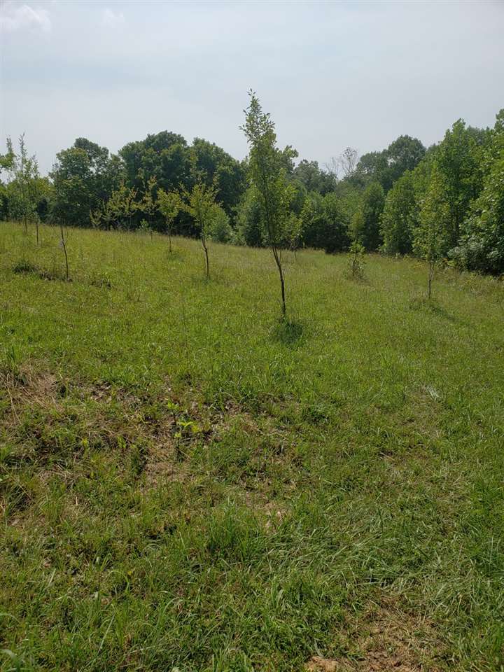 2985 North Corwin Road Bloomfield, IN 47424 - Photo 31 of 36