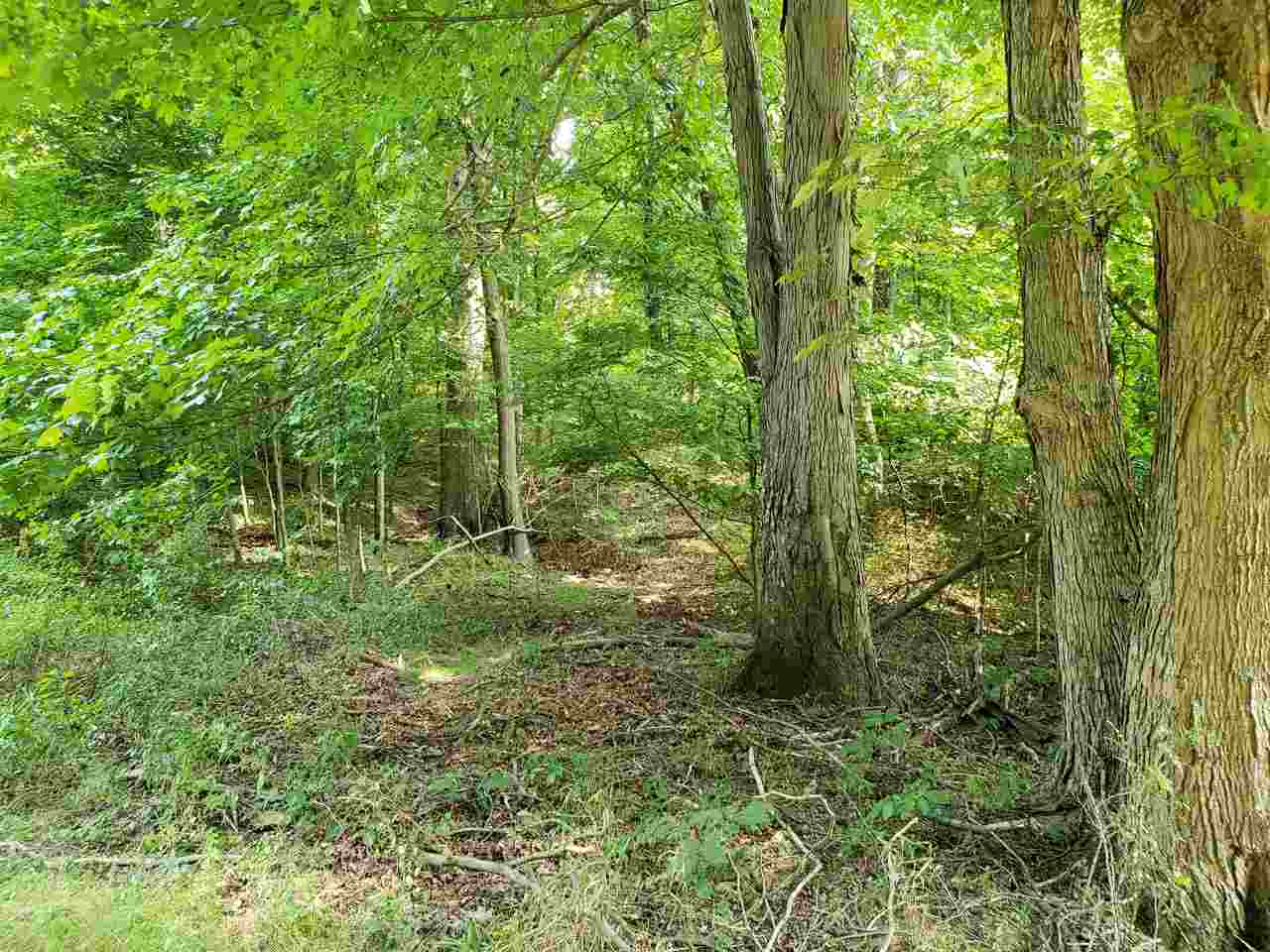 2985 North Corwin Road Bloomfield, IN 47424 - Photo 34 of 36