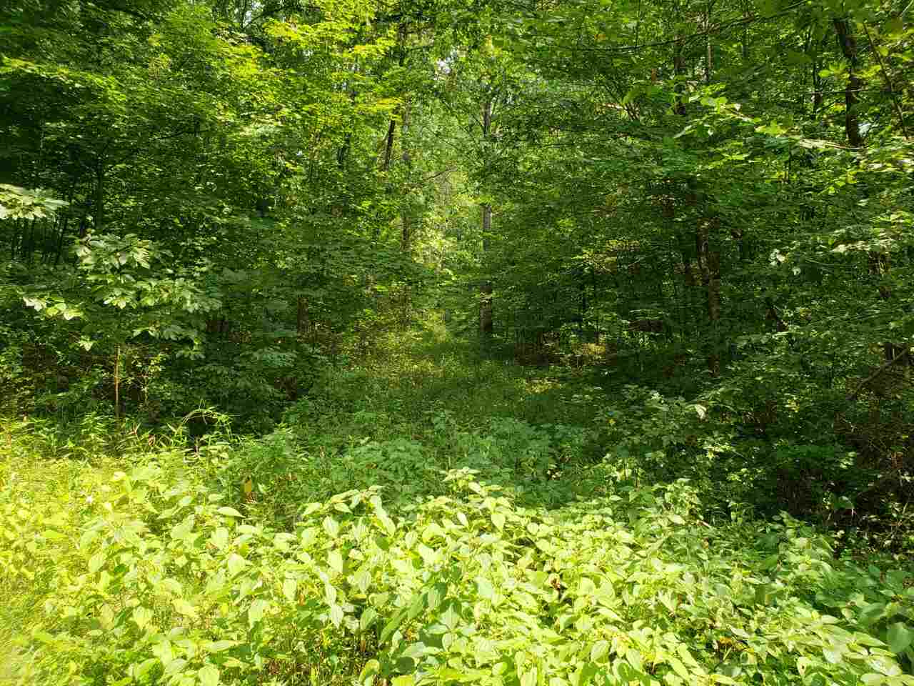 2985 North Corwin Road Bloomfield, IN 47424 - Photo 35 of 36