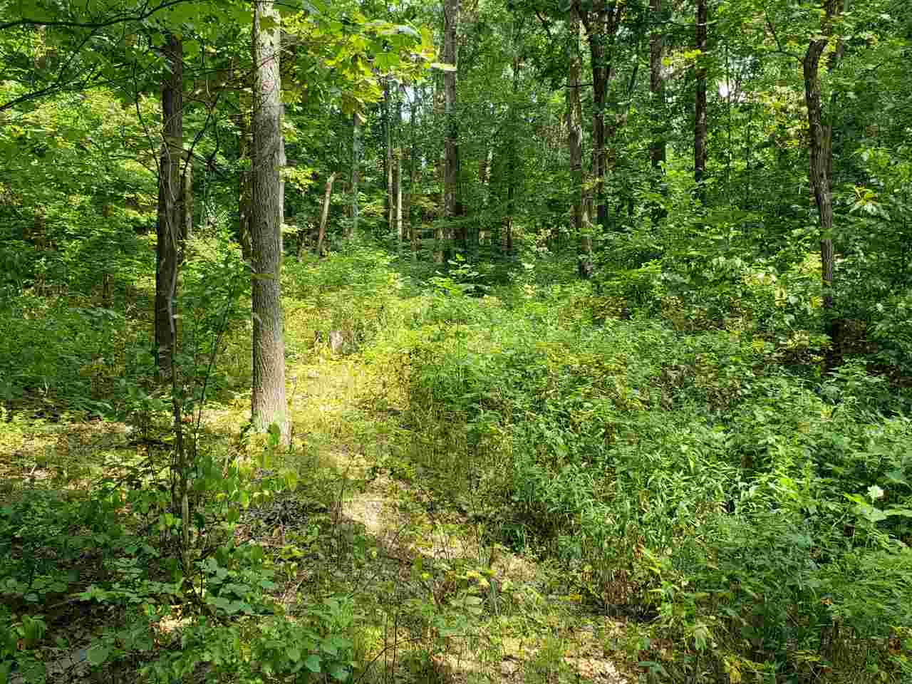 2985 North Corwin Road Bloomfield, IN 47424 - Photo 36 of 36