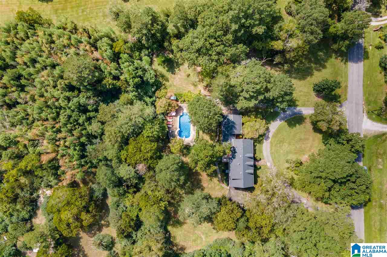3115 Old Ivy Road Birmingham, AL 35210 - Photo 49 of 50