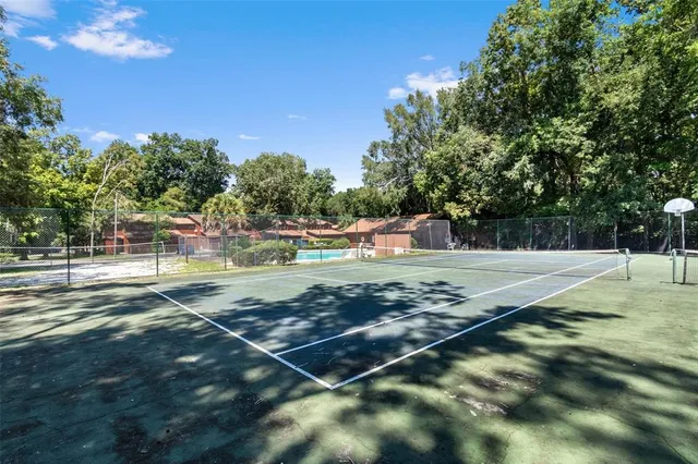 a view of a backyard