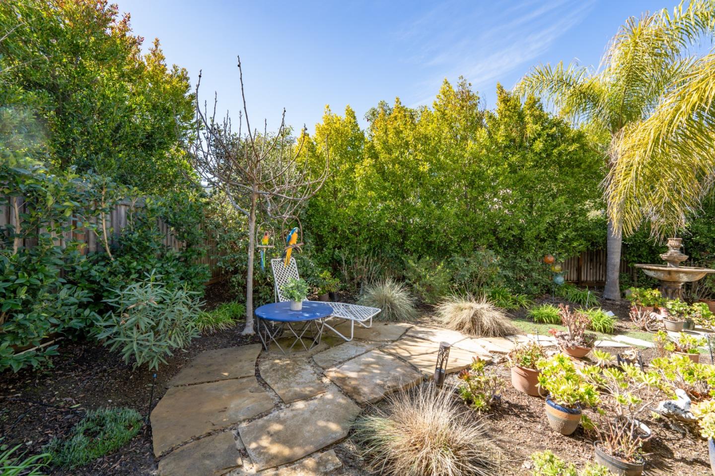 7683 Braid Court Gilroy, CA 95020 - Photo 56 of 69 a backyard of a house with table and chairs plants
